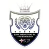 Suya Weiyutang FC