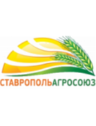 Logo Nevinnomyssk