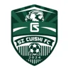 Cuiyuan Experimental U13
