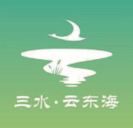 Logo Yundonghai FC